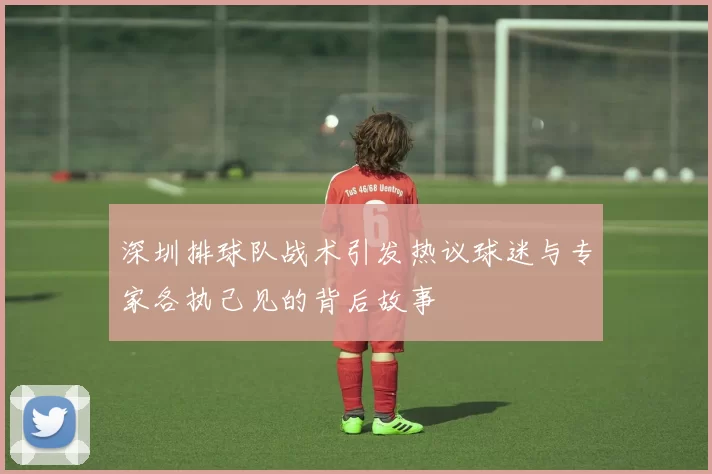 深圳排球队战术引发热议球迷与专家各执己见的背后故事