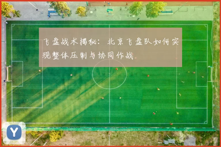 飞盘战术揭秘：北京飞盘队如何实现整体压制与协同作战