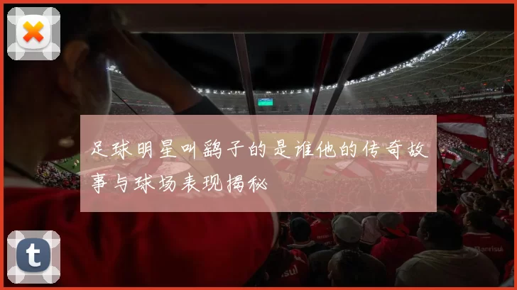 足球明星叫鹞子的是谁他的传奇故事与球场表现揭秘