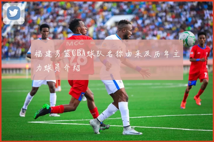 福建男篮CBA球队名称由来及历年主力球员介绍
