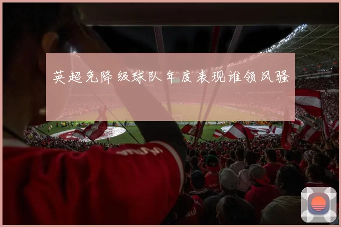 英超免降级球队年度表现谁领风骚