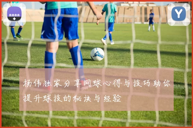 杨伟独家分享网球心得与技巧助你提升球技的秘诀与经验