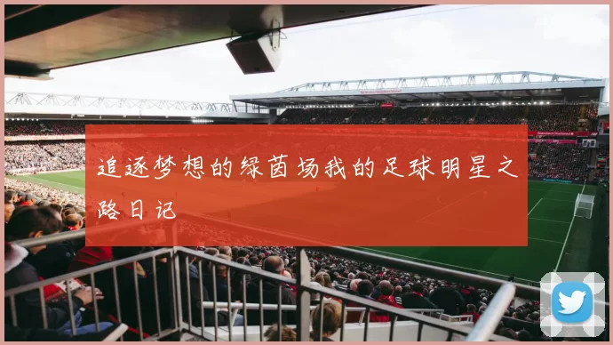 追逐梦想的绿茵场我的足球明星之路日记