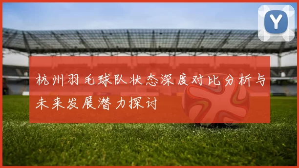 杭州羽毛球队状态深度对比分析与未来发展潜力探讨