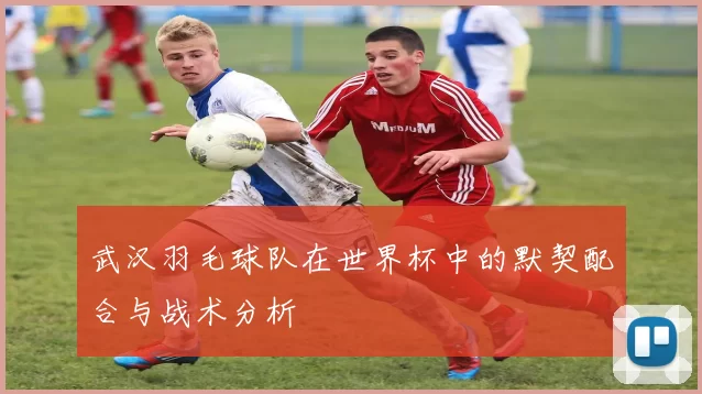 武汉羽毛球队在世界杯中的默契配合与战术分析