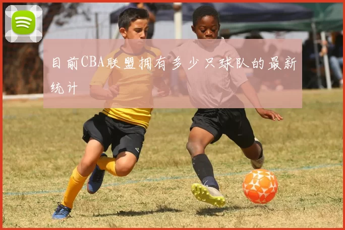 目前CBA联盟拥有多少只球队的最新统计