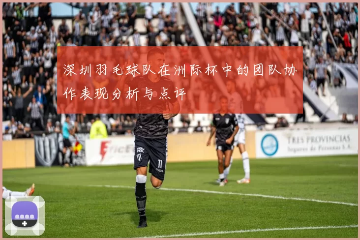 深圳羽毛球队在洲际杯中的团队协作表现分析与点评