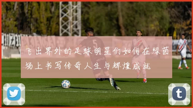 飞出界外的足球明星们如何在绿茵场上书写传奇人生与辉煌成就