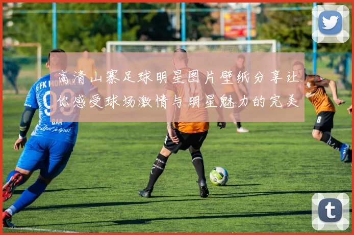高清山寨足球明星图片壁纸分享让你感受球场激情与明星魅力的完美结合