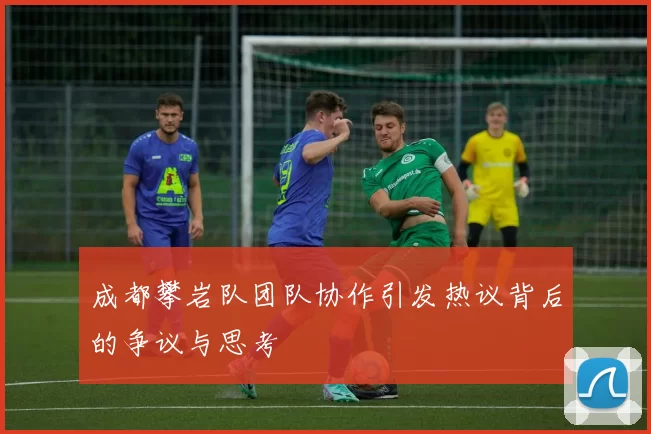 成都攀岩队团队协作引发热议背后的争议与思考