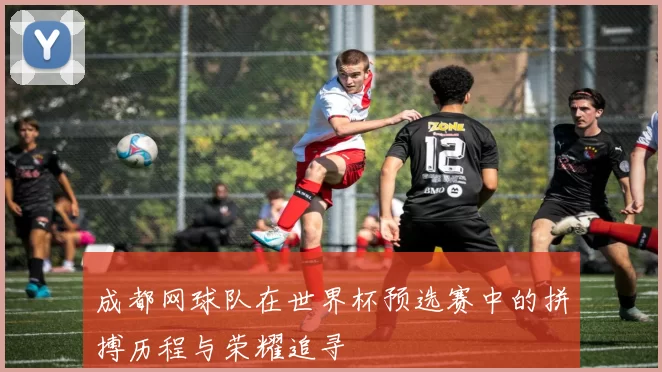 成都网球队在世界杯预选赛中的拼搏历程与荣耀追寻