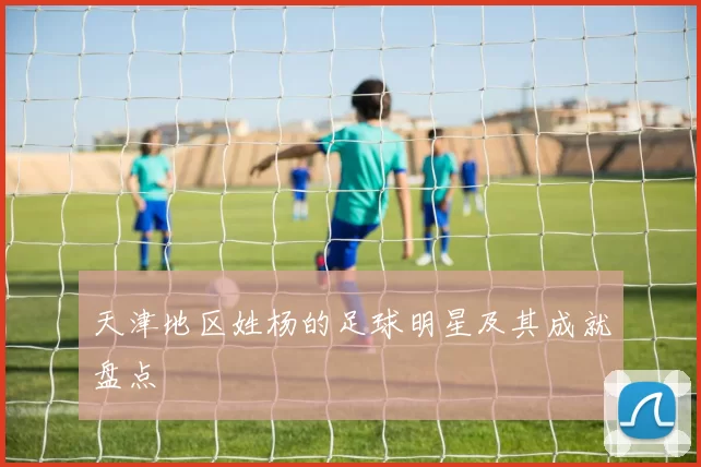 天津地区姓杨的足球明星及其成就盘点