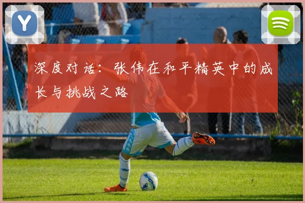 深度对话：张伟在和平精英中的成长与挑战之路