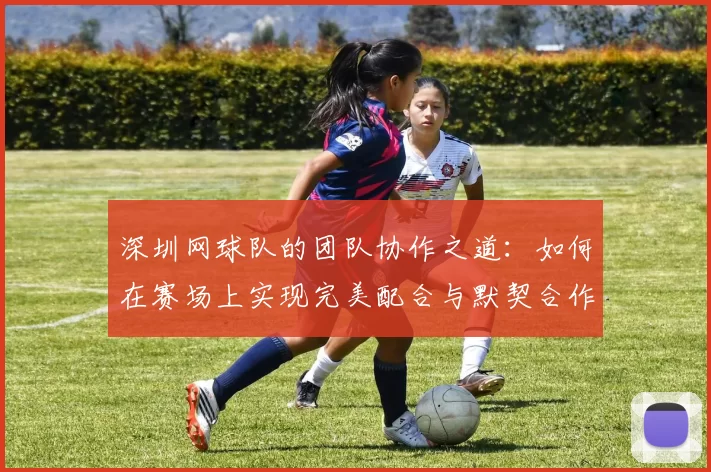 深圳网球队的团队协作之道：如何在赛场上实现完美配合与默契合作