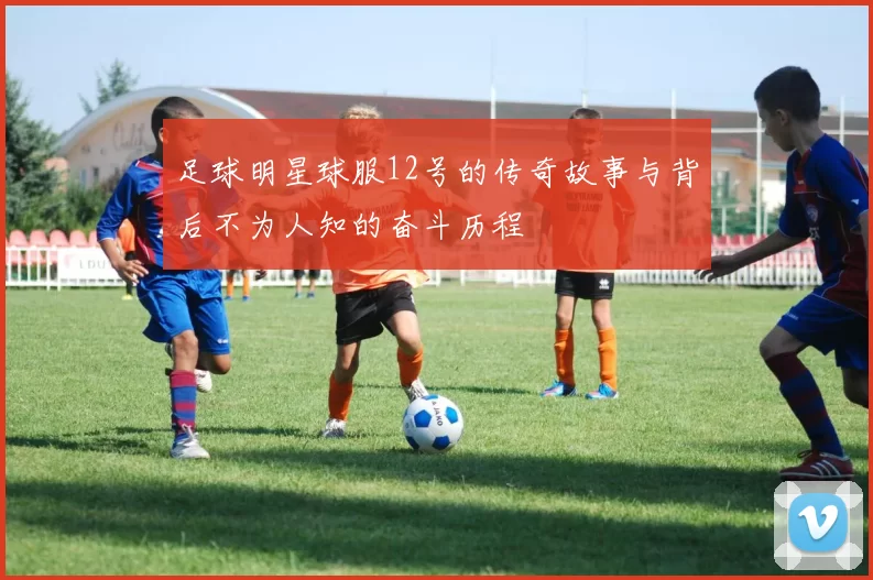 足球明星球服12号的传奇故事与背后不为人知的奋斗历程