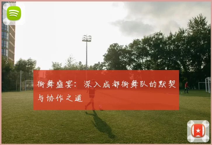 街舞盛宴：深入成都街舞队的默契与协作之道