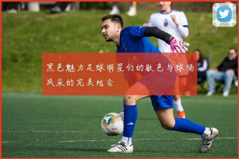 黑色魅力足球明星们的肤色与球场风采的完美结合