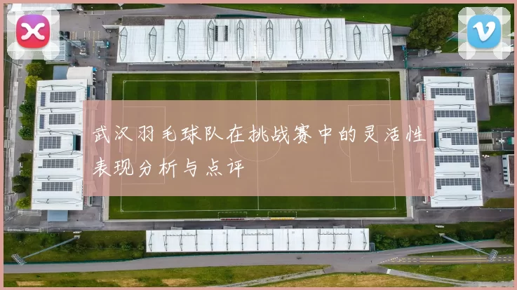 武汉羽毛球队在挑战赛中的灵活性表现分析与点评
