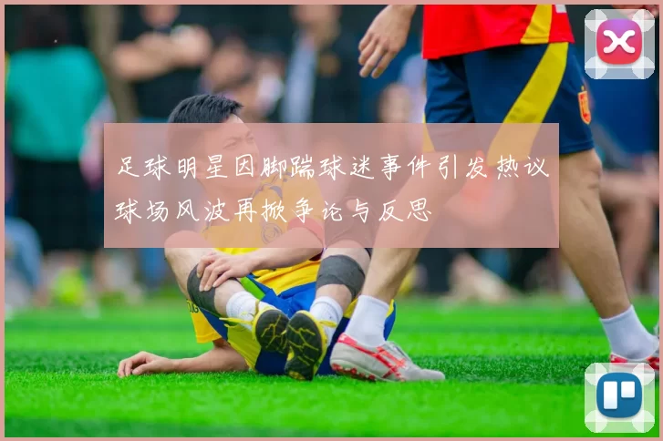 足球明星因脚踹球迷事件引发热议球场风波再掀争论与反思