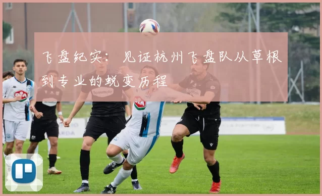 飞盘纪实：见证杭州飞盘队从草根到专业的蜕变历程
