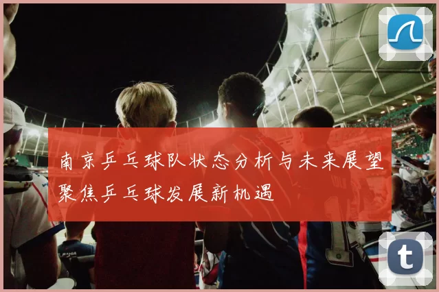 南京乒乓球队状态分析与未来展望聚焦乒乓球发展新机遇