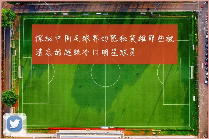 探秘中国足球界的隐秘英雄那些被遗忘的超级冷门明星球员