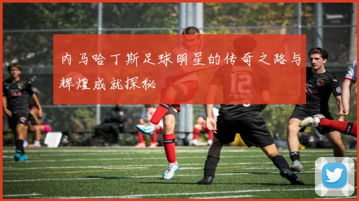 内马哈丁斯足球明星的传奇之路与辉煌成就探秘