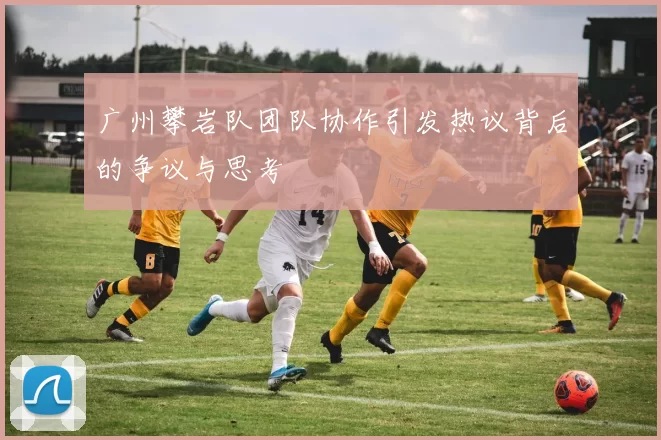 广州攀岩队团队协作引发热议背后的争议与思考