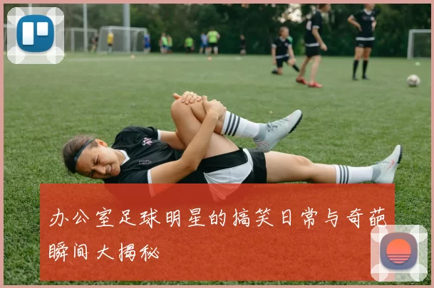 办公室足球明星的搞笑日常与奇葩瞬间大揭秘