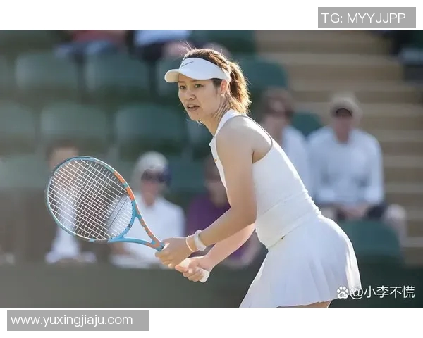 李娜在英雄联盟中的奋斗与荣耀之路深度对话揭秘