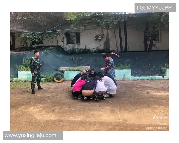 西安攀岩队逆风翻盘的背后故事与未来展望