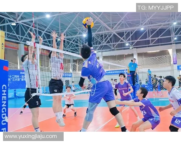 成都排球队技术分析与战术创新的深度探讨与展望