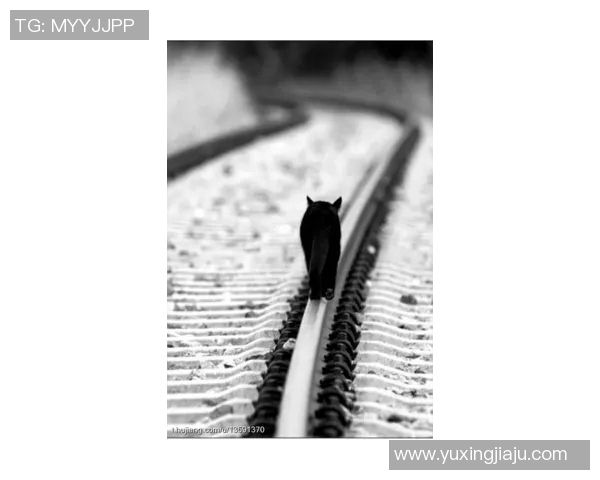 滑板与人生的交响曲:周敏的深度对话与成长旅程