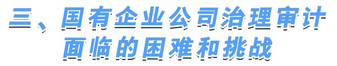星空·体育中国综合国有企业公司管理审计成绩讨论(图3)