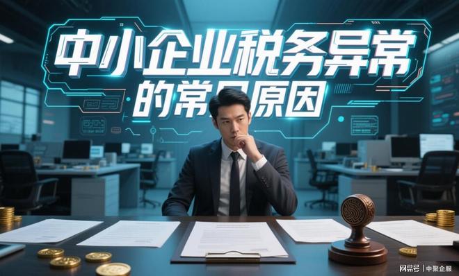 星空·综合体育中聚企服:一站式专业财税托管让企业轻装上阵专注中心营业